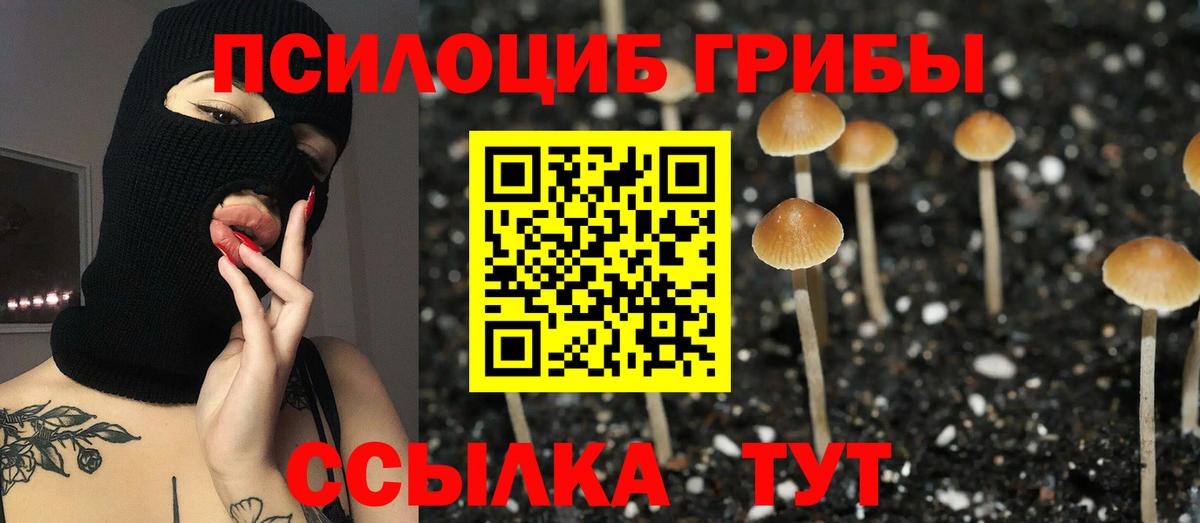 Галлюциногенные грибы Psilocybine cubensis  Вход с VPN  Южноуральск 